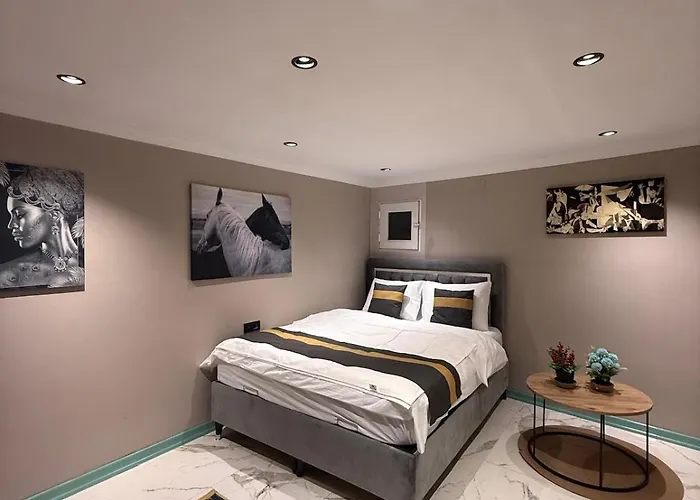 Cozy Duplex With A Private Terrace Near The Metro * 伊斯坦布尔