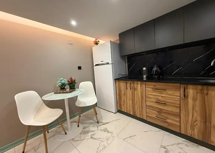 公寓 Cozy Duplex With A Private Terrace Near The Metro 伊斯坦布尔